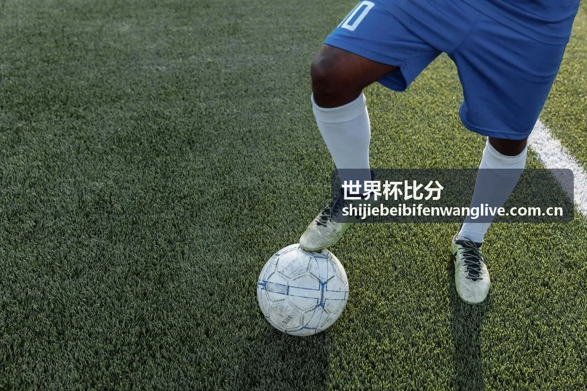世界杯比分转会新闻最新动态